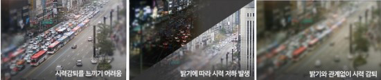 이미지명